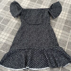 NWT SALONI polkadot dress